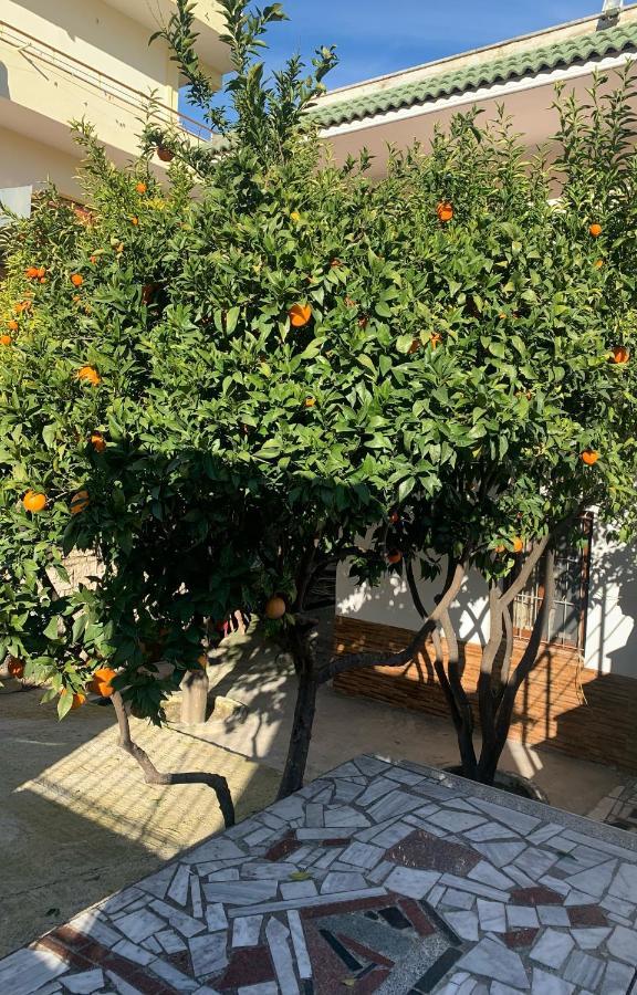 Vila Demaj! Free Parking Берат Екстер'єр фото